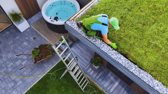 Grästak – Så lägger du gräs på taket