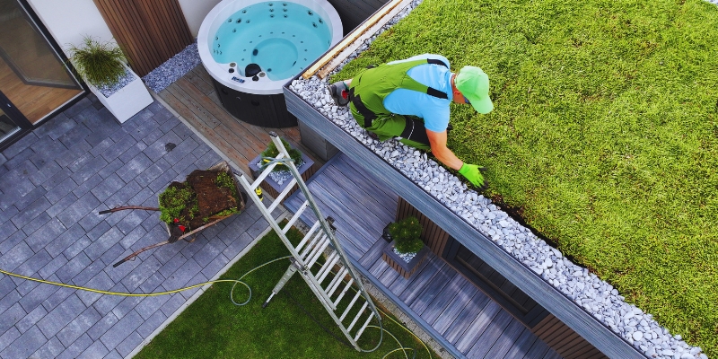 Grästak – Så lägger du gräs på taket